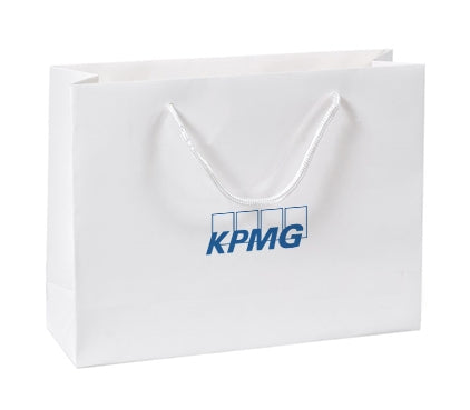 Large Laminated Gift Bag